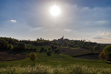 Monferrato Landscape