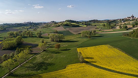 Monferrato Landscape