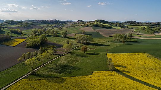 Monferrato Landscape