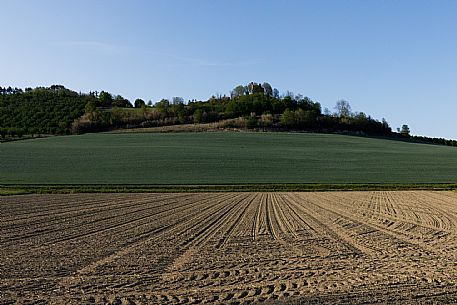 Monferrato Landscape