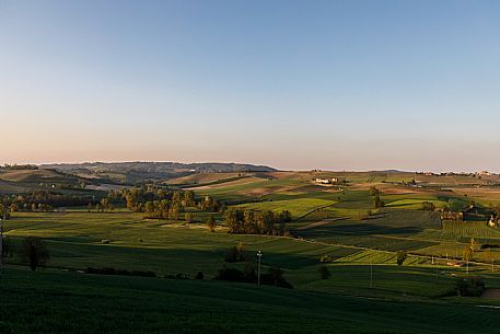 Monferrato Landscape