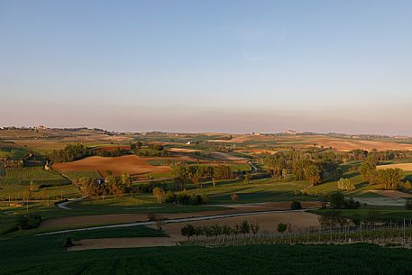 Monferrato Landscape