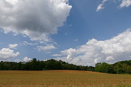 Monferrato Landscape