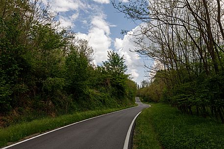 Monferrato Landscape