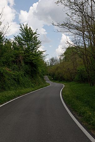 Monferrato Landscape