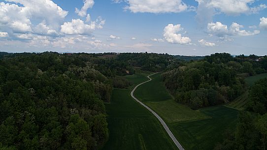 Monferrato Landscape