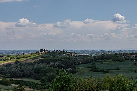 Monferrato Landscape