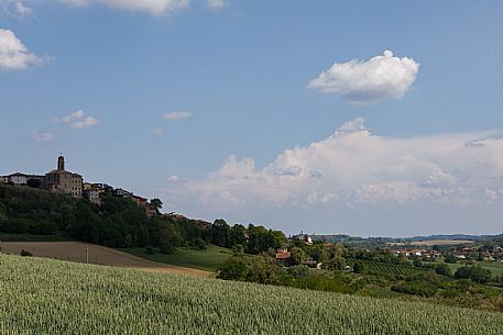 Monferrato Landscape