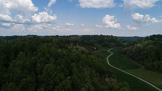 Monferrato Landscape