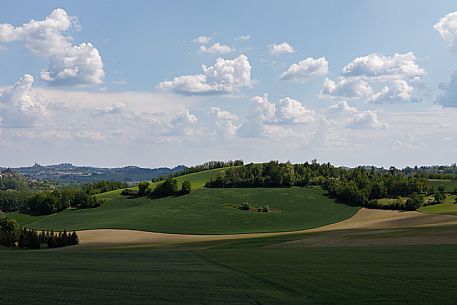 Monferrato Landscape