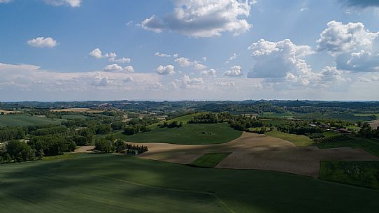 Monferrato Landscape