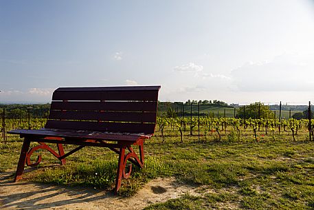 Monferrato Landscape