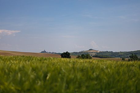 Monferrato Landscape