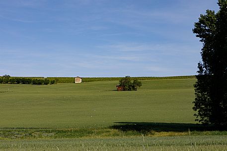 Monferrato Landscape