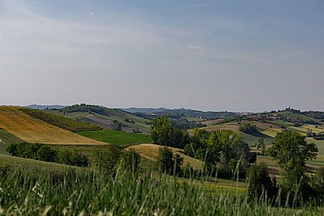 Monferrato Landscape