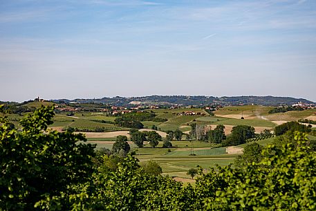 Monferrato Landscape