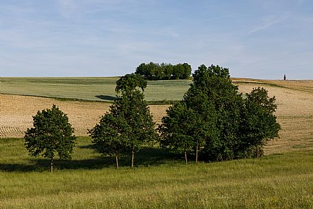 Monferrato Landscape