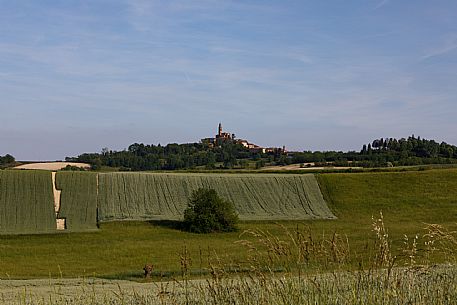 Monferrato Landscape