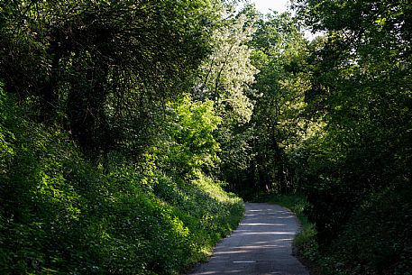 Monferrato Landscape