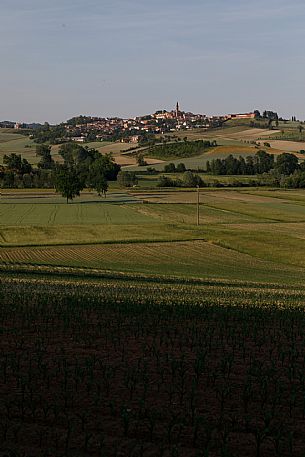 Monferrato Landscape