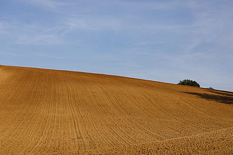 Monferrato Landscape