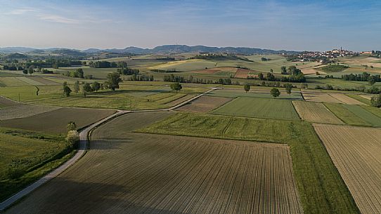 Monferrato Landscape