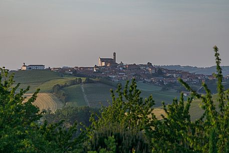 Monferrato Landscape