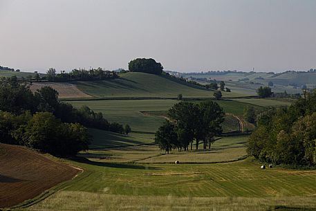 Monferrato Landscape