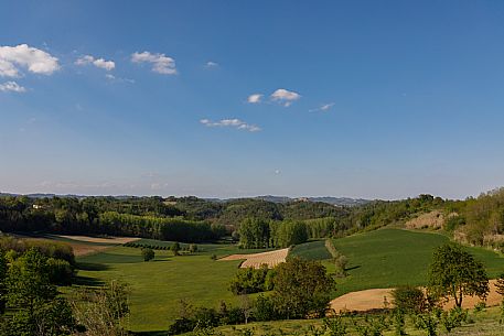 Monferrato Landscape