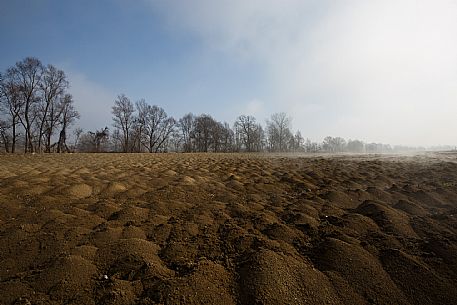 Monferrato Landscape