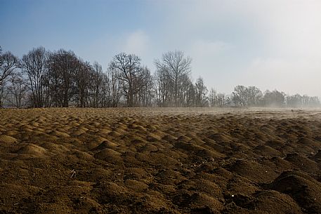 Monferrato Landscape