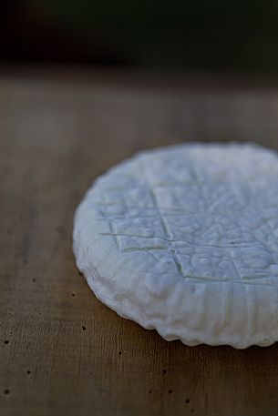 Robiola di Cocconato Cheese