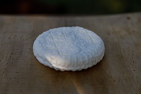 Robiola di Cocconato Cheese