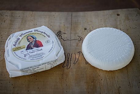 Robiola di Cocconato Cheese