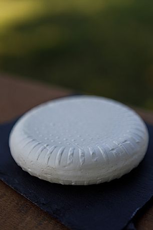 Robiola di Cocconato Cheese