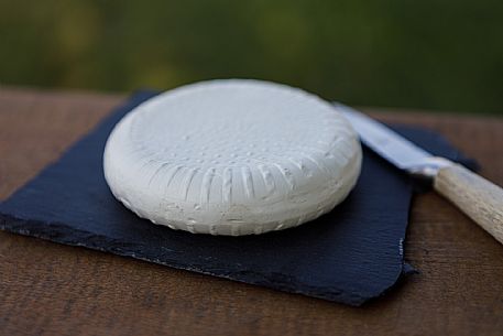 Robiola di Cocconato Cheese