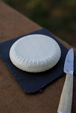 Robiola di Cocconato Cheese