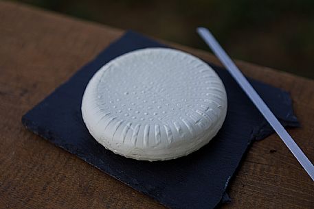 Robiola di Cocconato Cheese