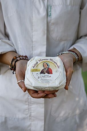 Robiola di Cocconato Cheese