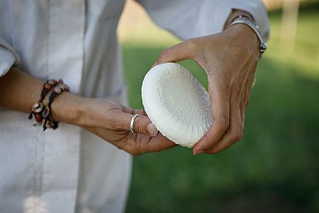 Robiola di Cocconato Cheese