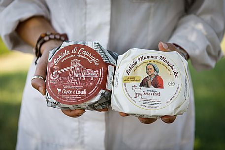 Robiola di Cocconato Cheese