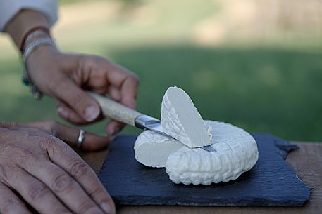 Robiola di Cocconato Cheese