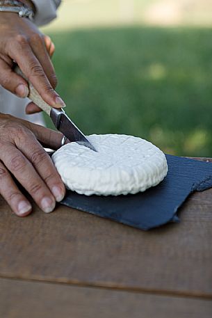 Robiola di Cocconato Cheese