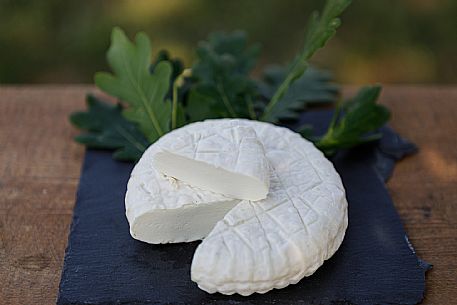 Robiola di Cocconato Cheese