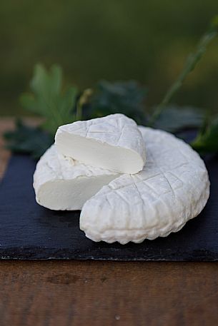 Robiola di Cocconato Cheese