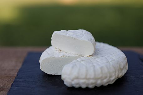 Robiola di Cocconato Cheese