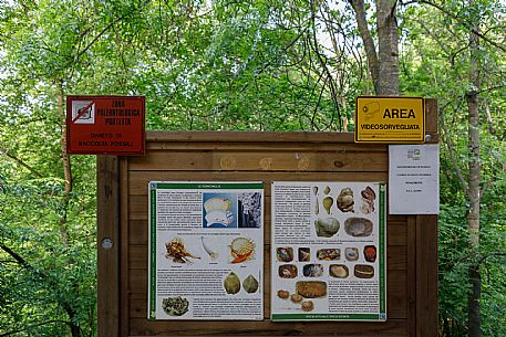 Asti paleontological park