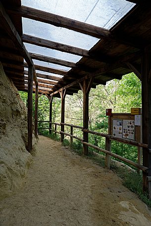 Asti paleontological park