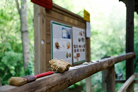 Asti paleontological park