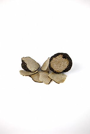 Black Truffle Still Life